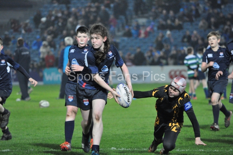 Leinster-Treviso-020