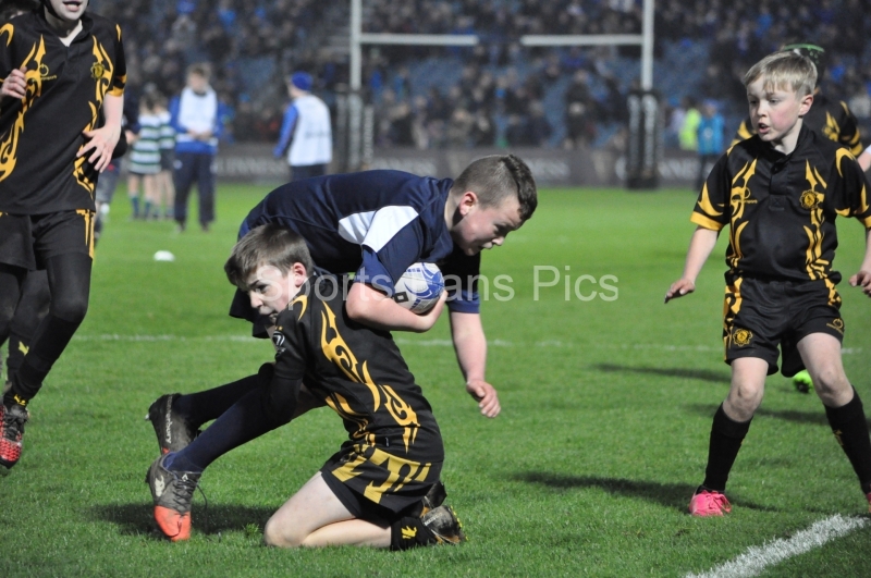 Leinster-Treviso-021