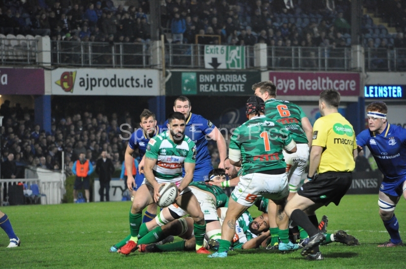 Leinster-Treviso-023