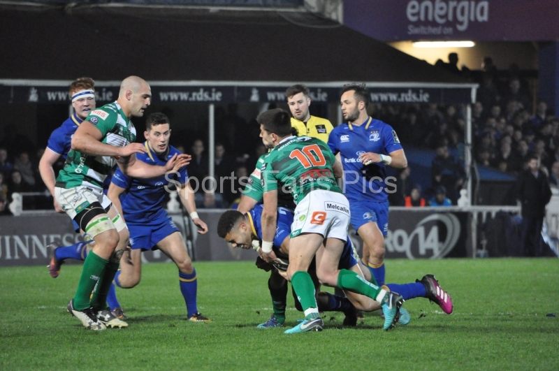 Leinster-Treviso-030