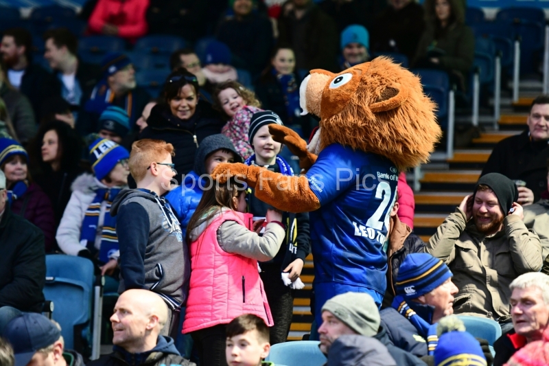 Leinster-Treviso-31