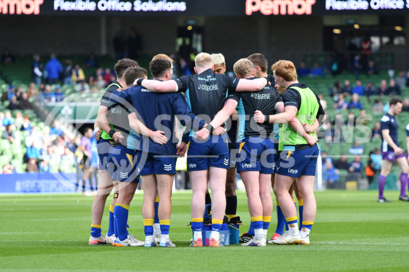 Leinster-Lions-005