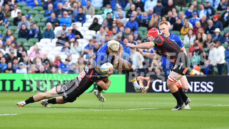 Leinster-Lions-012