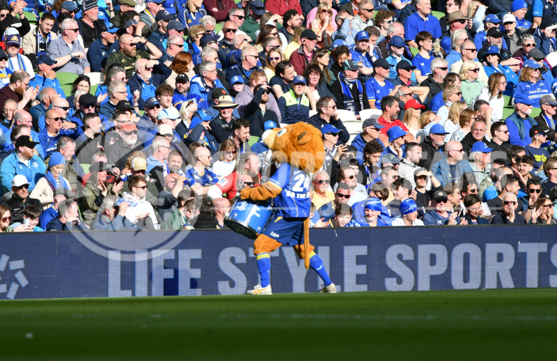 Leinster-Lions-036