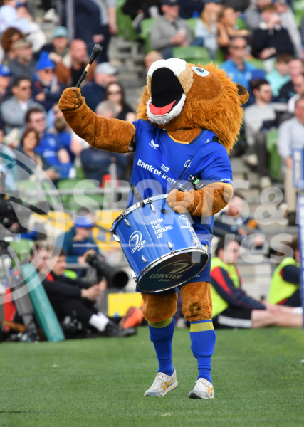 Leinster-Lions-042