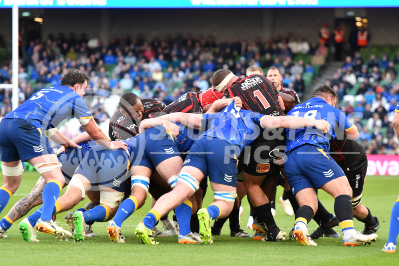 Leinster-Lions-049