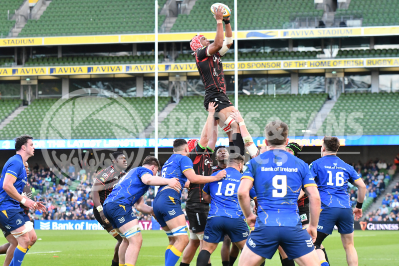 Leinster-Lions-050