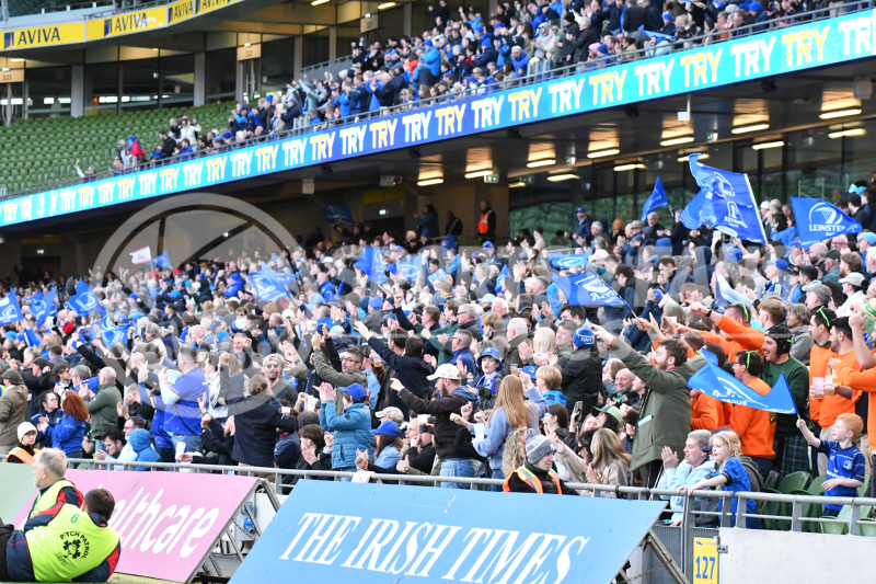 Leinster-Lions-054