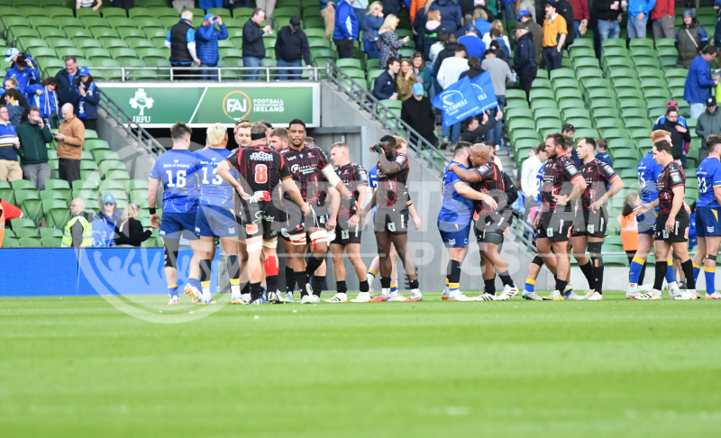Leinster-Lions-055