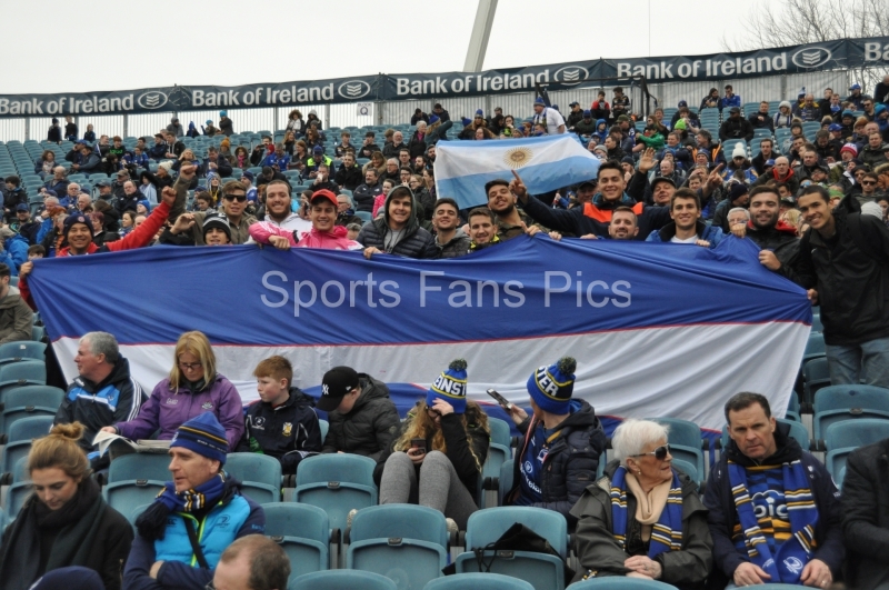 Leinster-Zebre-001