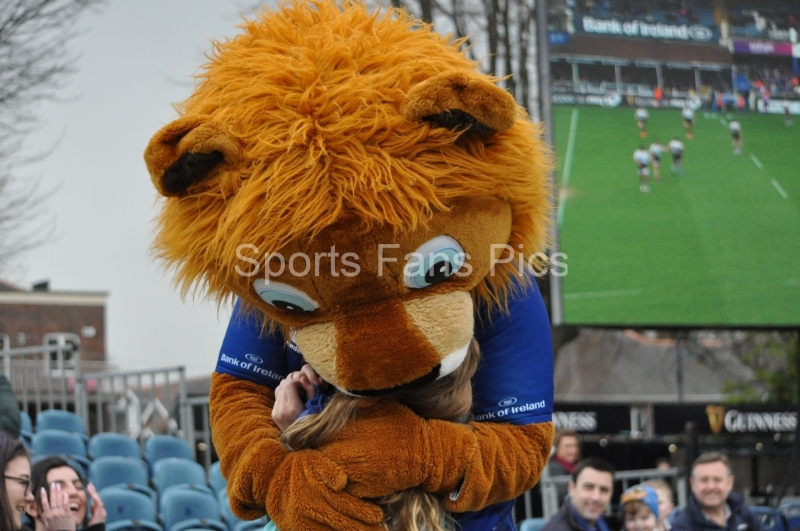 Leinster-Zebre-002