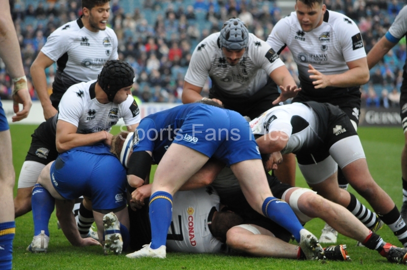 Leinster-Zebre-003