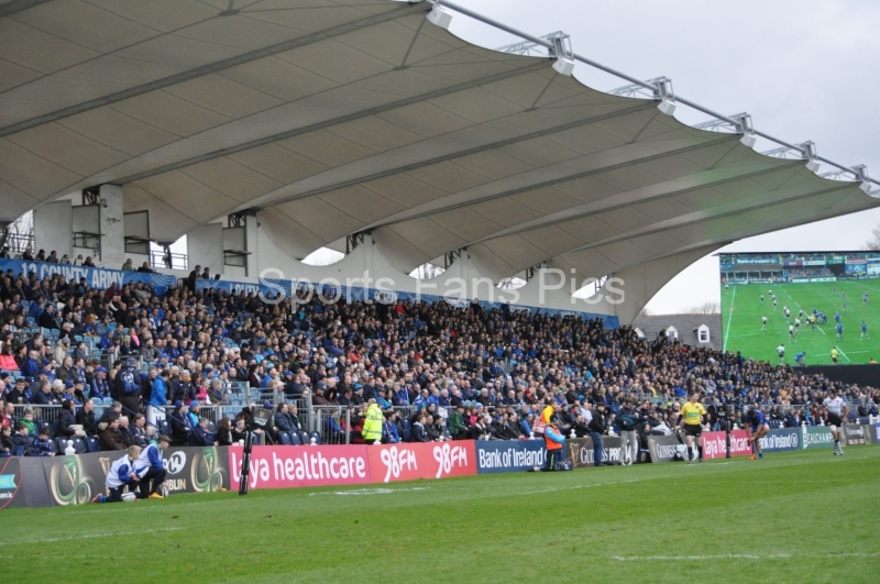 Leinster-Zebre-004