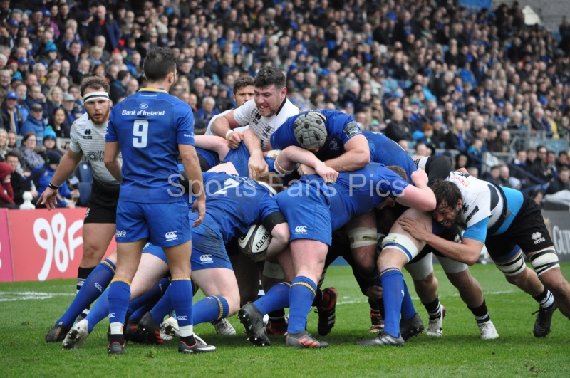 Leinster-Zebre-006