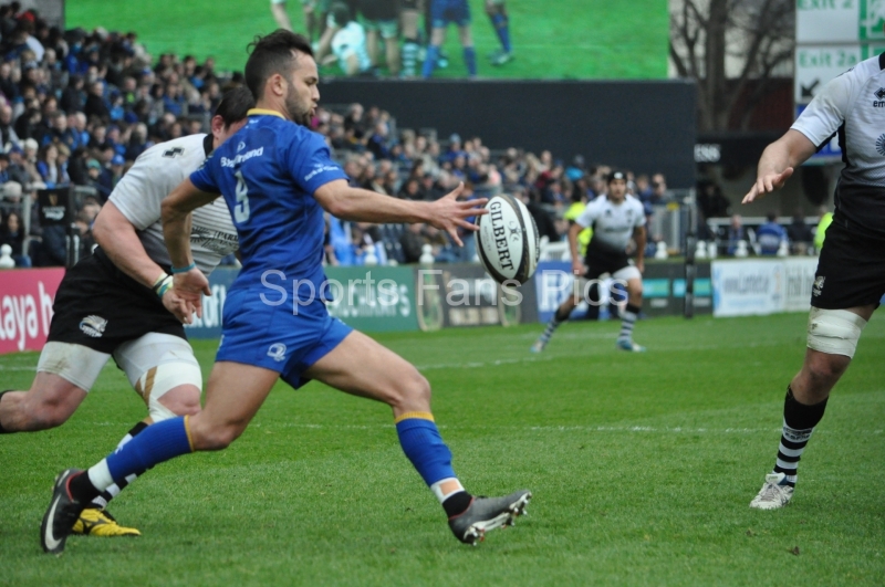 Leinster-Zebre-007