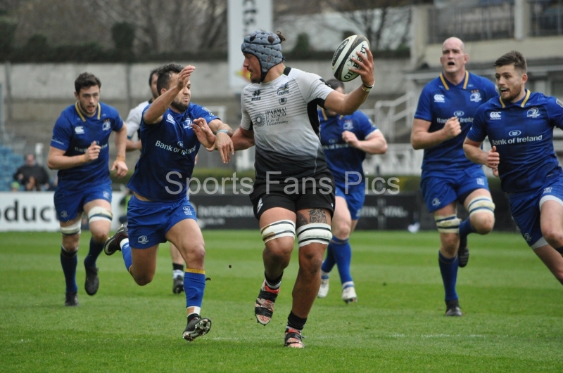 Leinster-Zebre-010