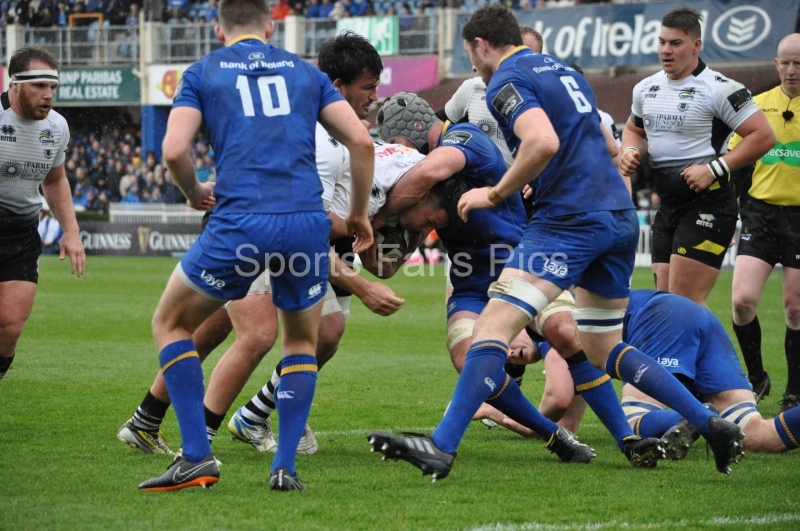 Leinster-Zebre-013