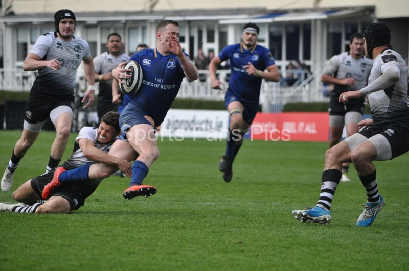 Leinster-Zebre-017