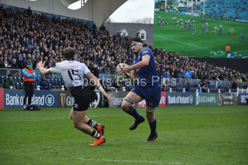 Leinster-Zebre-018