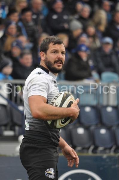 Leinster-Zebre-024