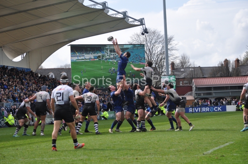 Leinster-Zebre-026