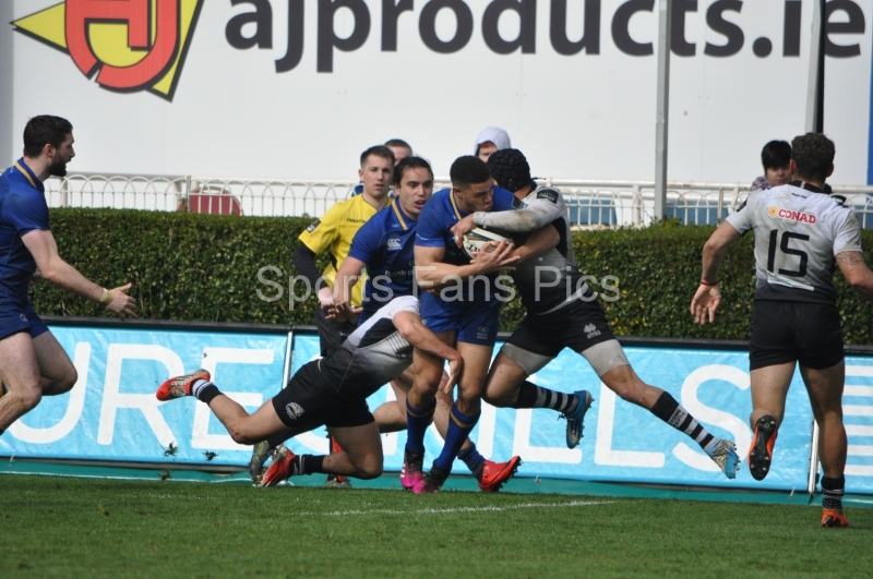 Leinster-Zebre-028